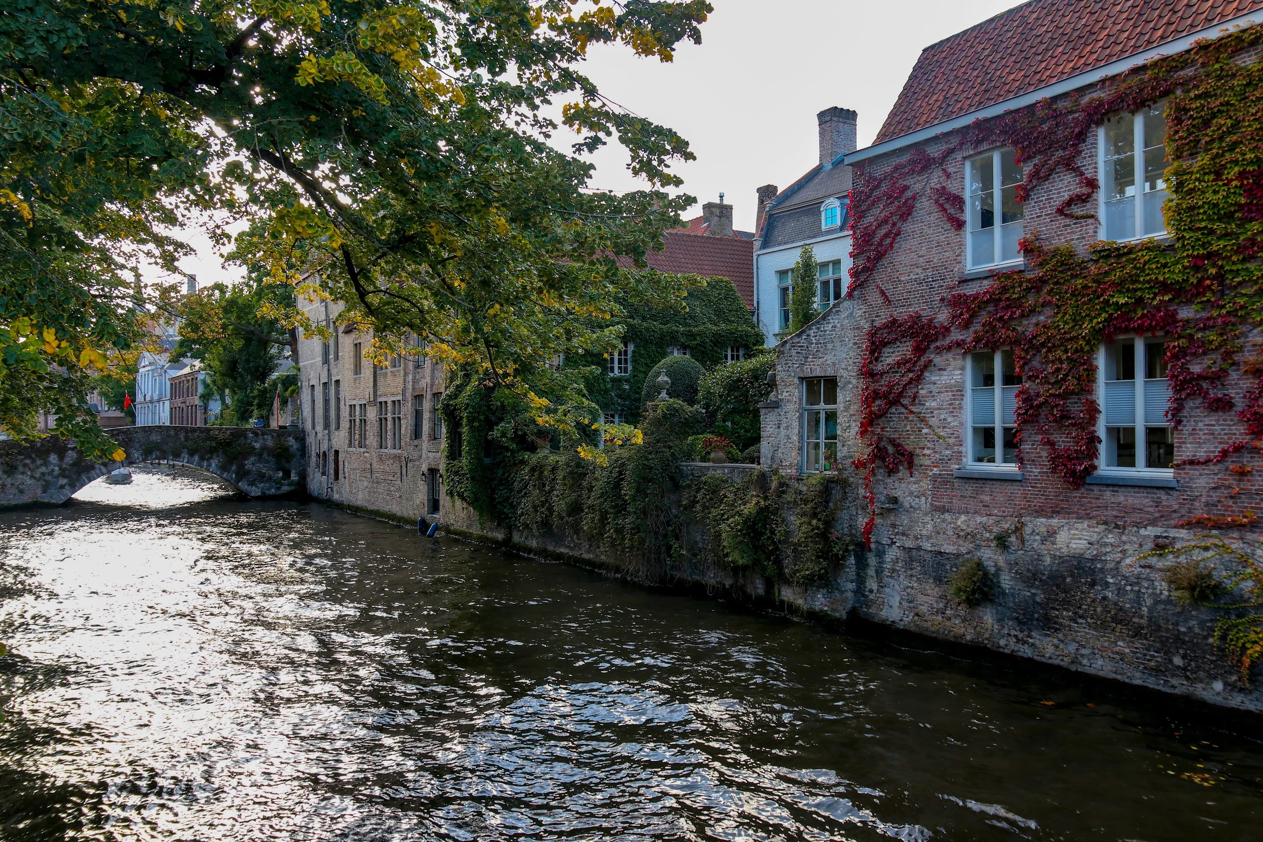 Belgium — photograph by Arjun Sarkar