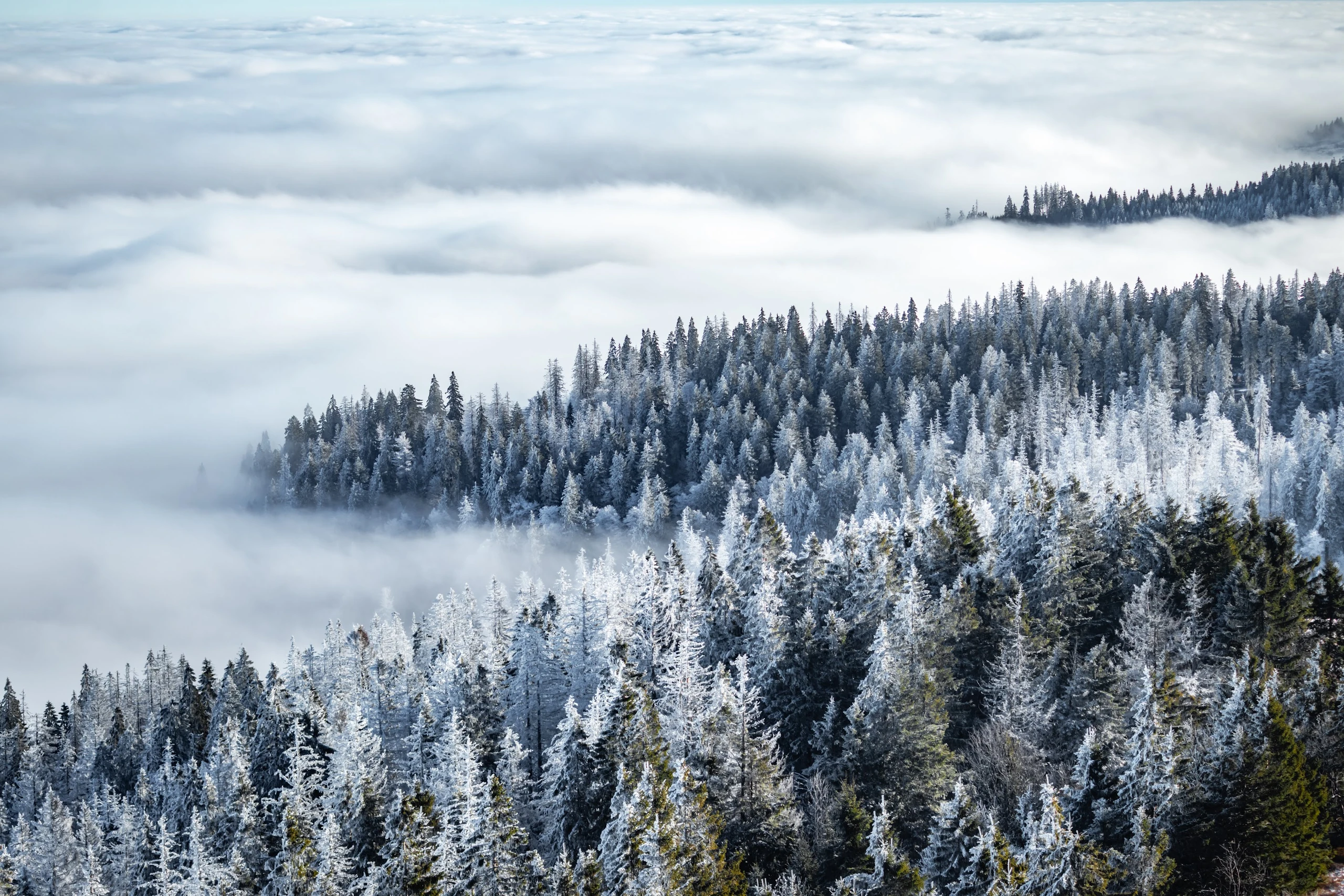 Germany — photograph by Arjun Sarkar