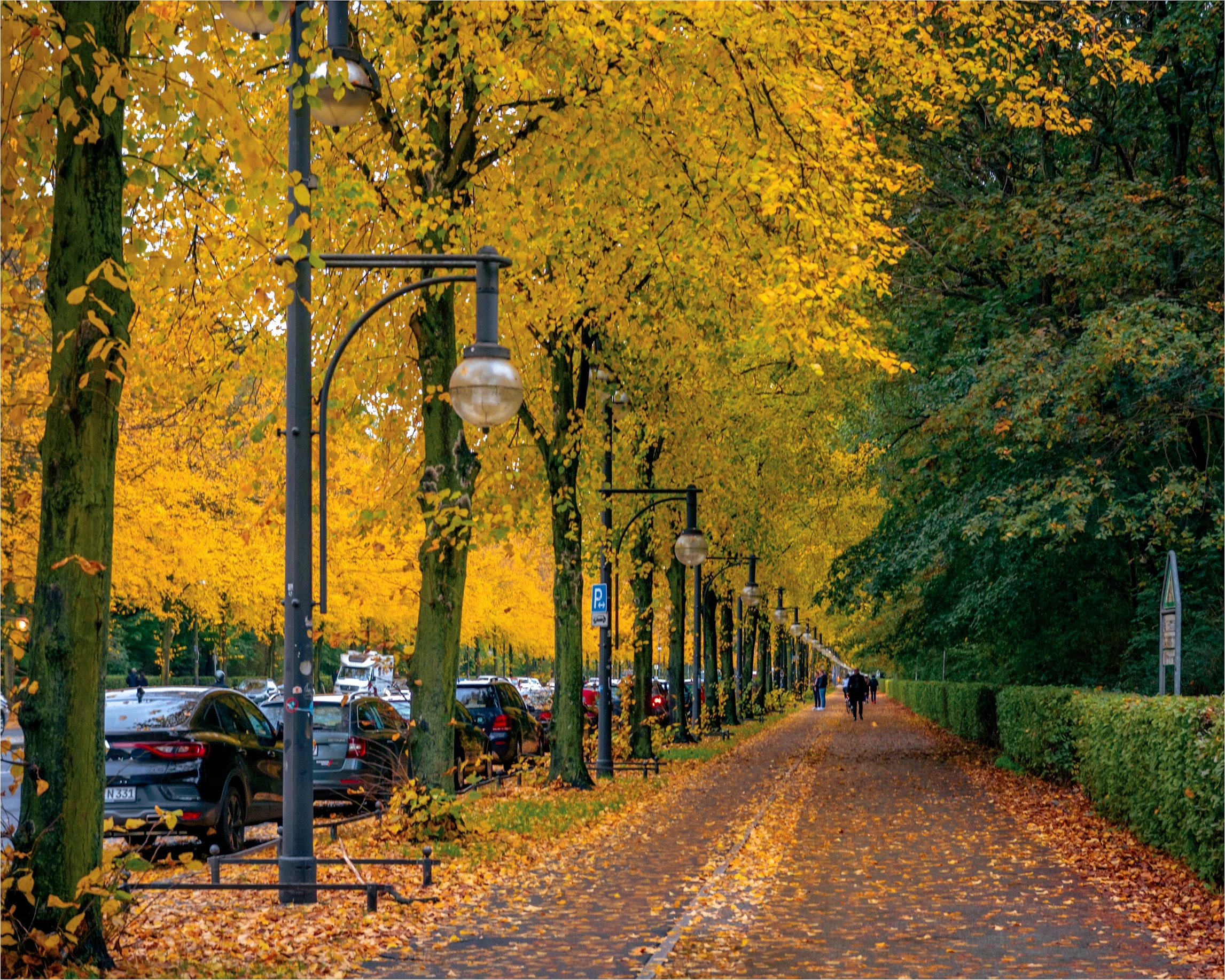 Germany — photograph by Arjun Sarkar
