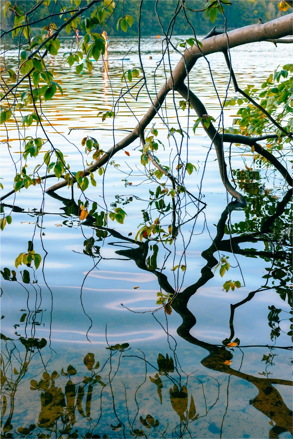 Germany — photograph by Arjun Sarkar