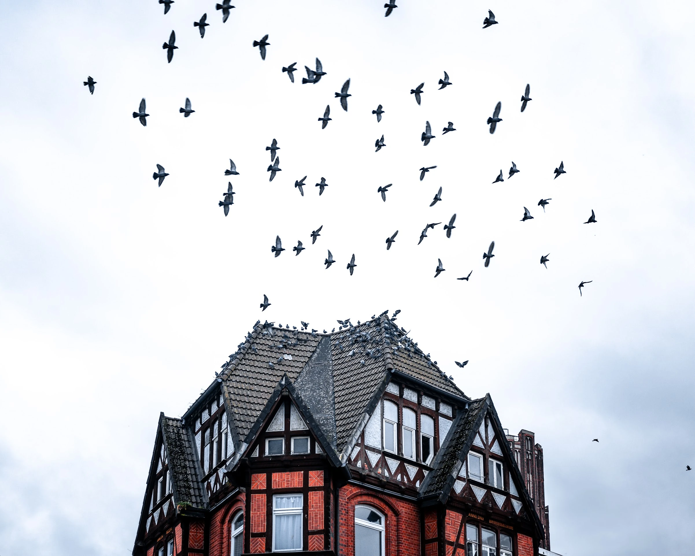 Germany — photograph by Arjun Sarkar