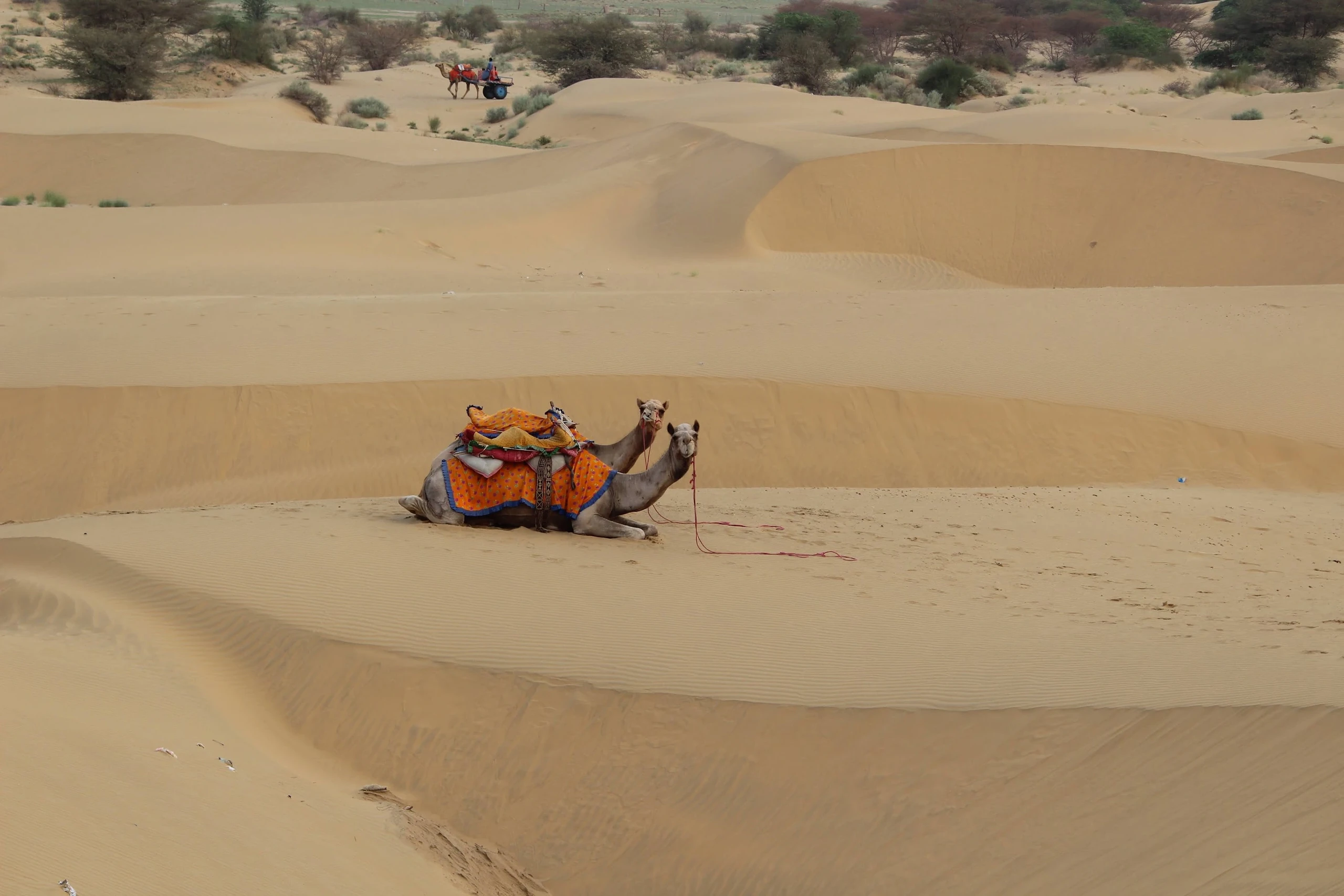 India — photograph by Arjun Sarkar