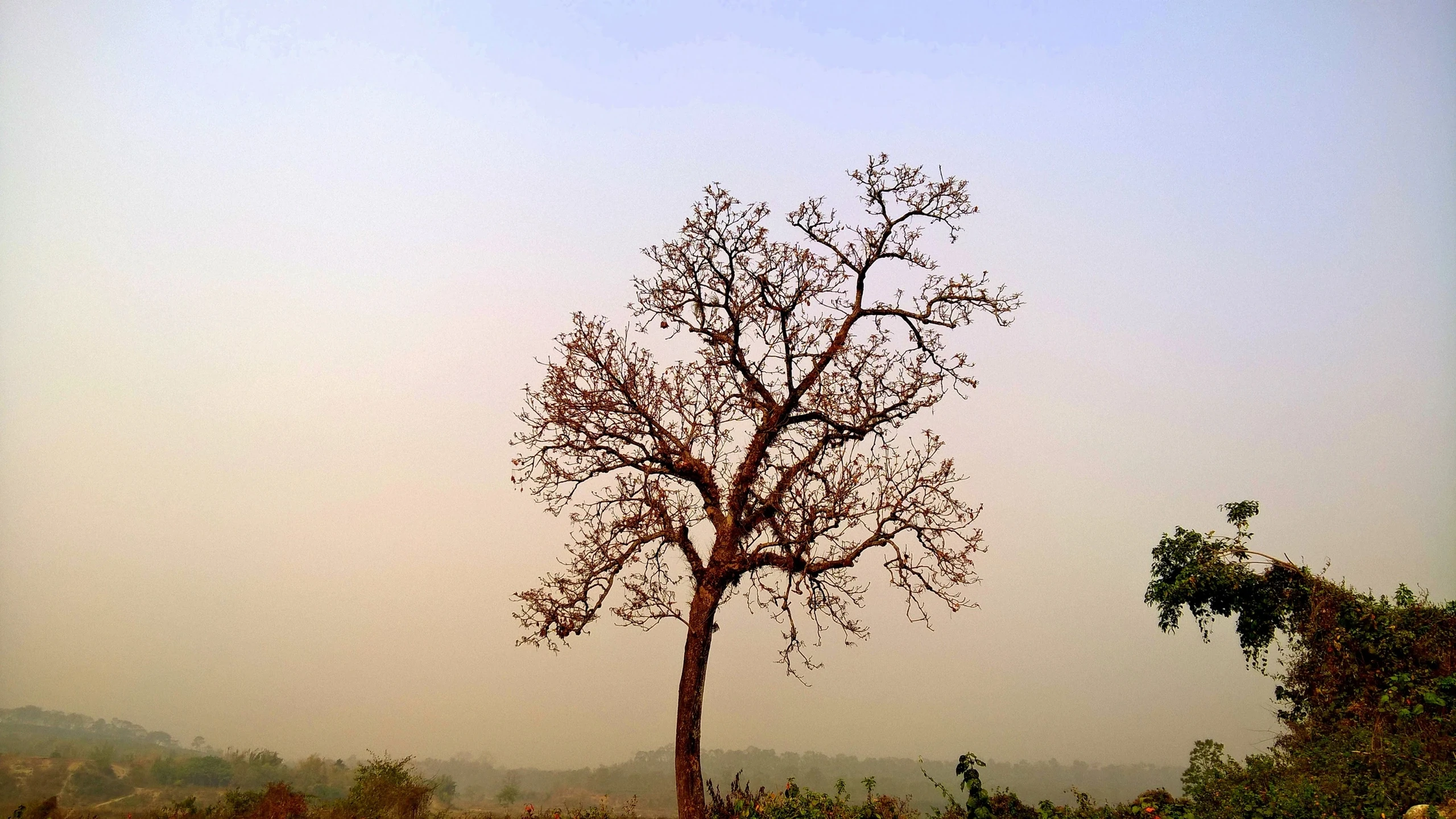 India — photograph by Arjun Sarkar