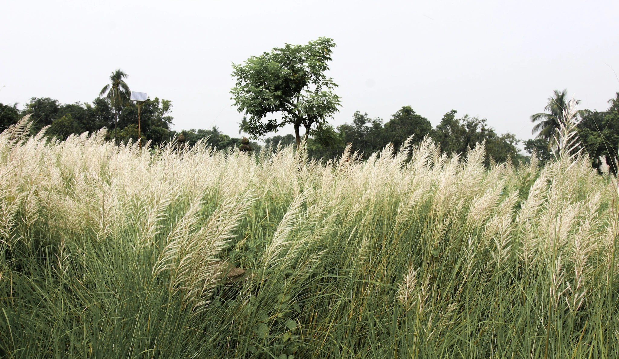 India — photograph by Arjun Sarkar