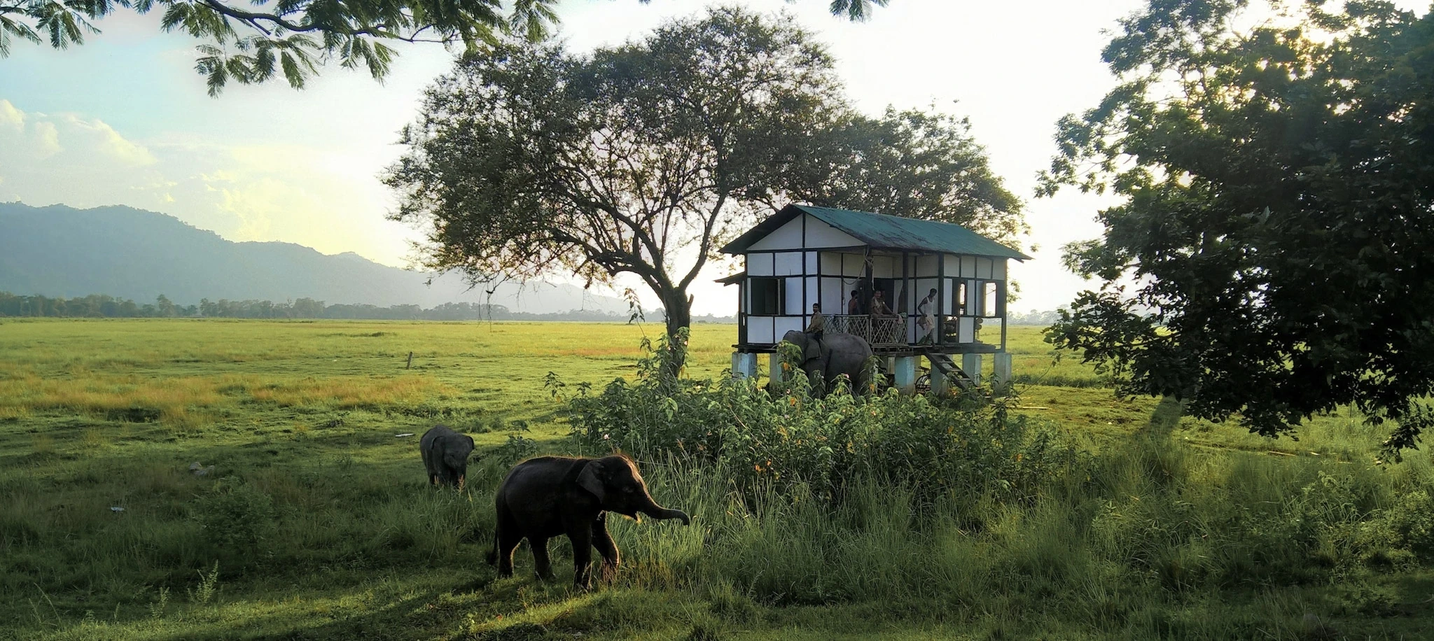India — photograph by Arjun Sarkar