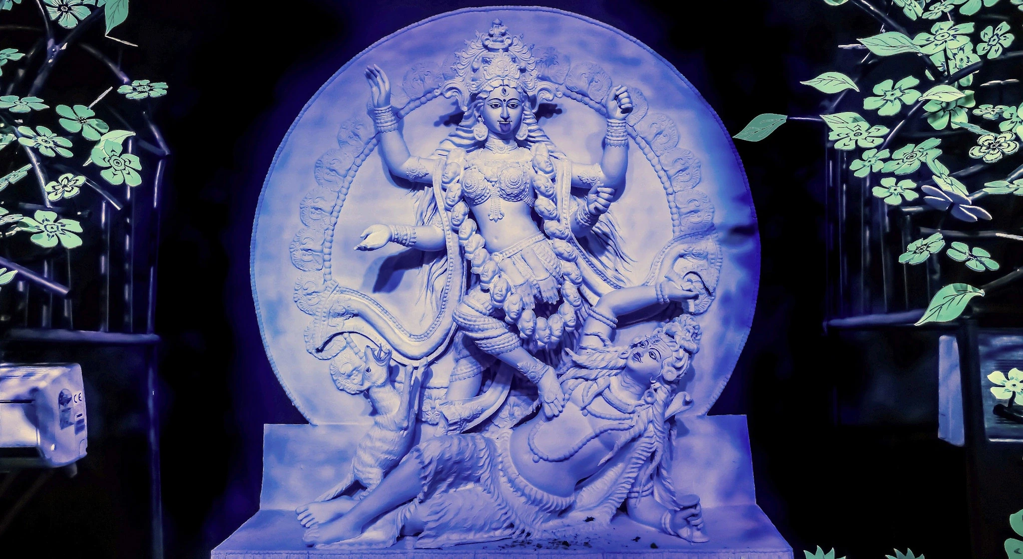 India — photograph by Arjun Sarkar