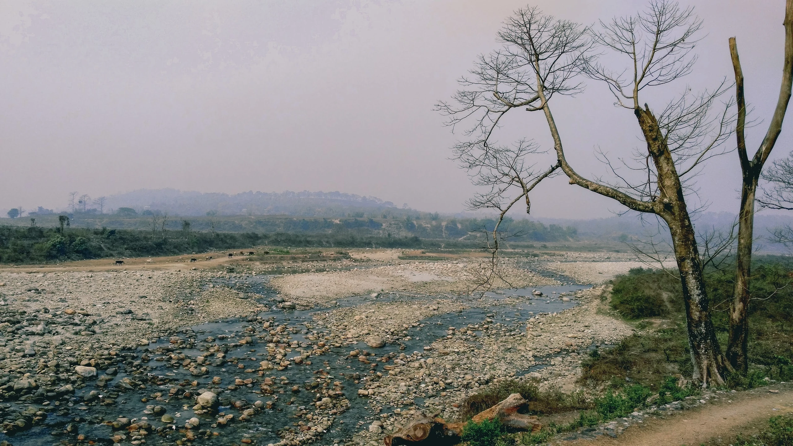 India — photograph by Arjun Sarkar