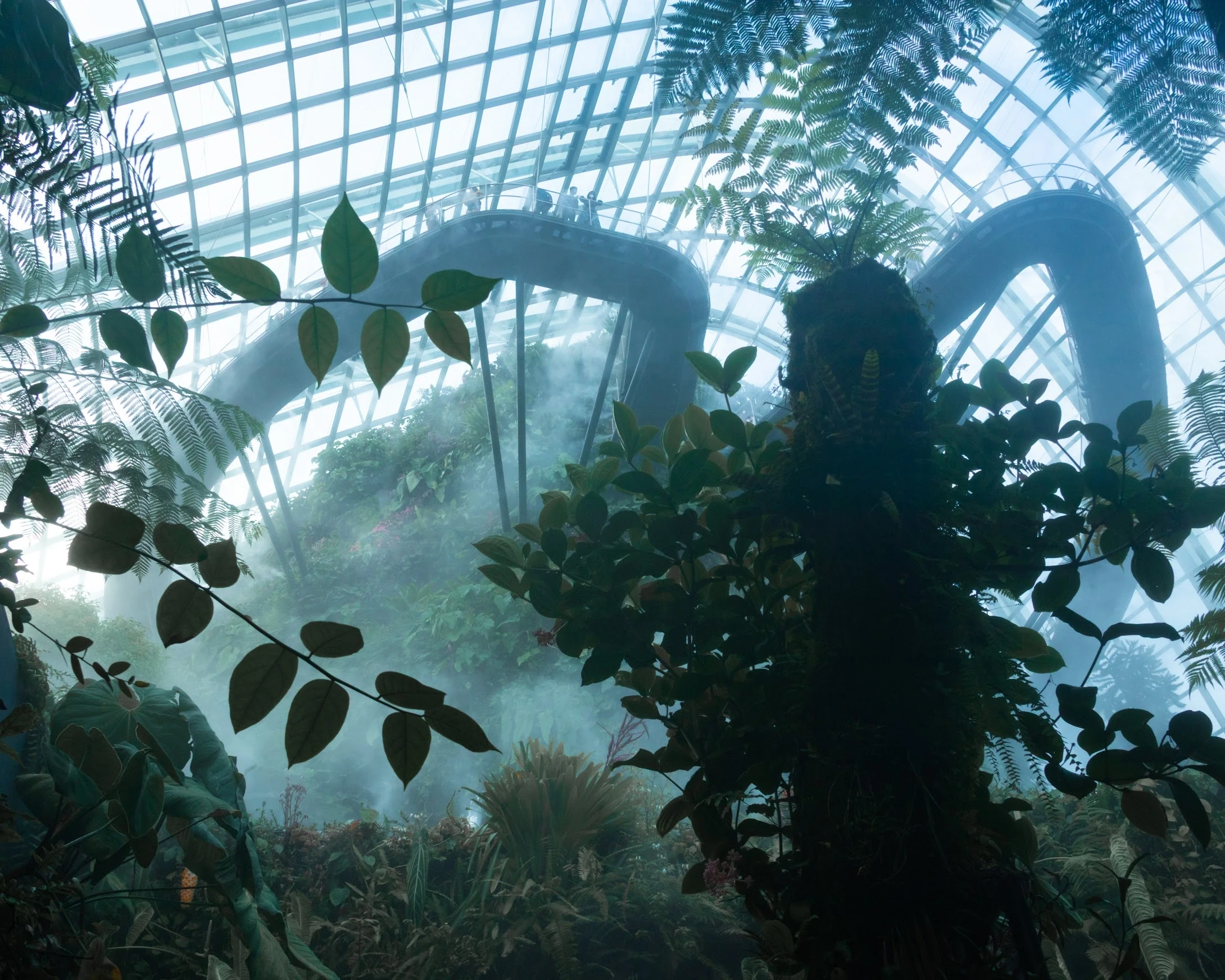 Singapore — photograph by Arjun Sarkar