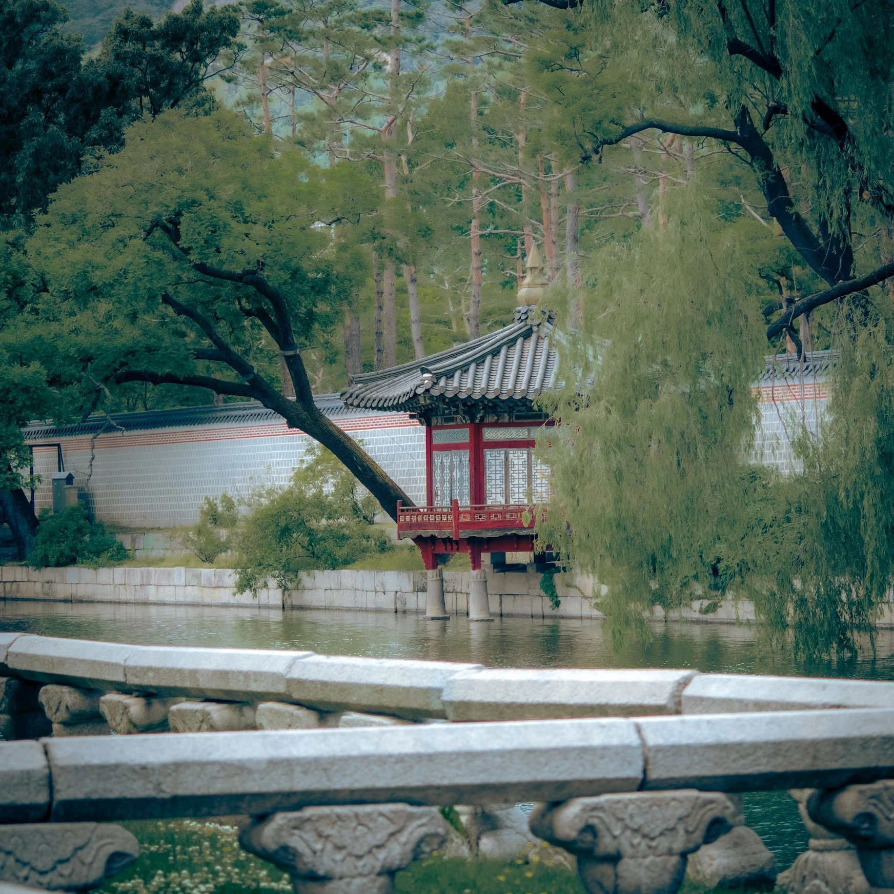 South Korea — photograph by Arjun Sarkar