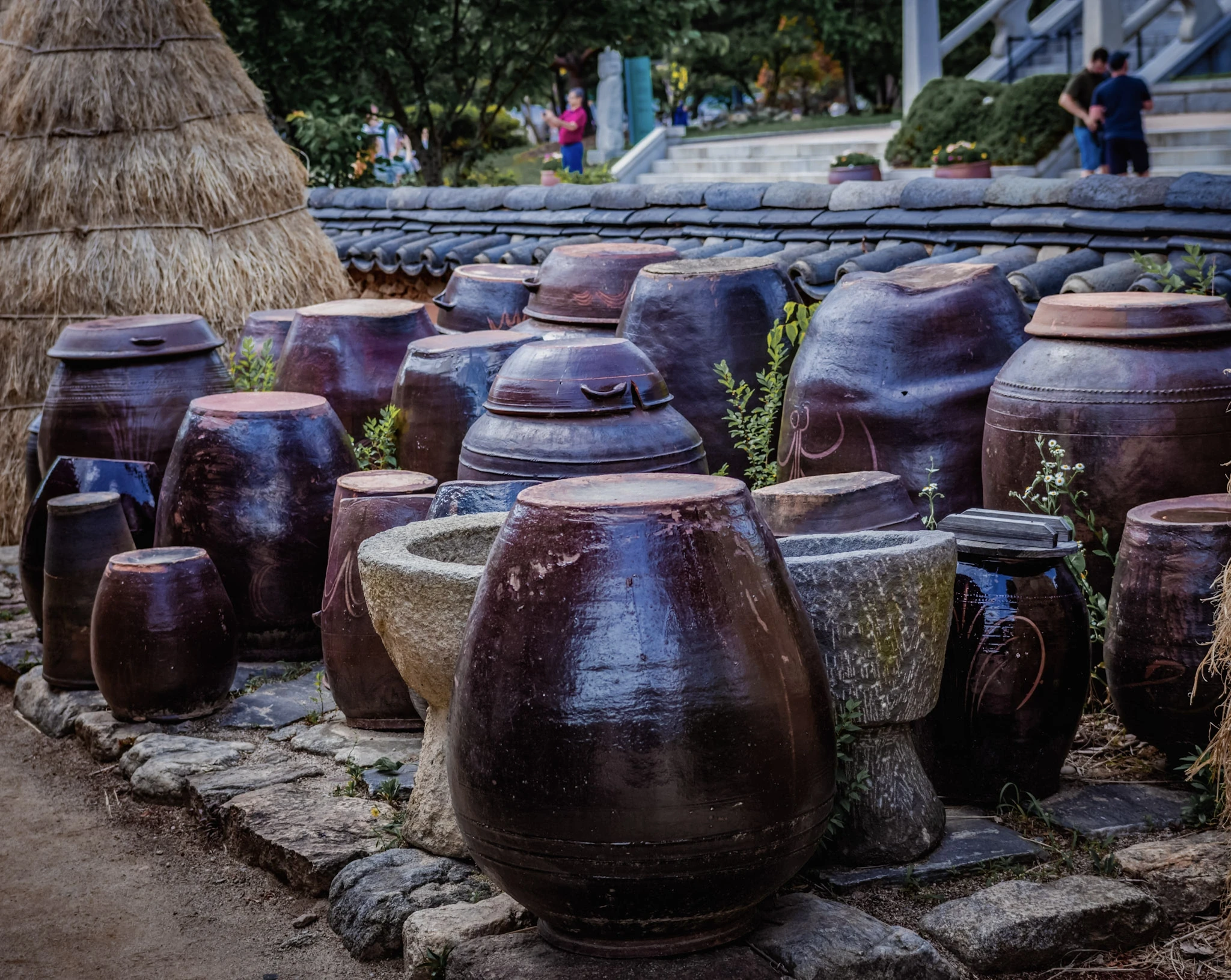 South Korea — photograph by Arjun Sarkar