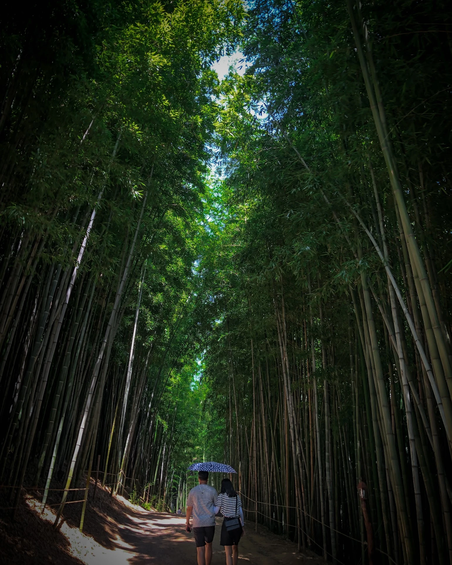 South Korea — photograph by Arjun Sarkar