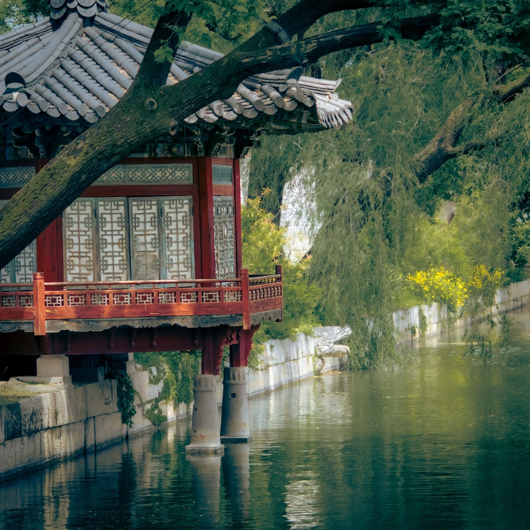 South Korea — photograph by Arjun Sarkar