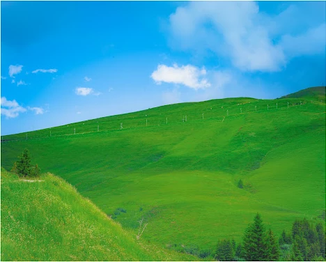 Switzerland — photograph by Arjun Sarkar