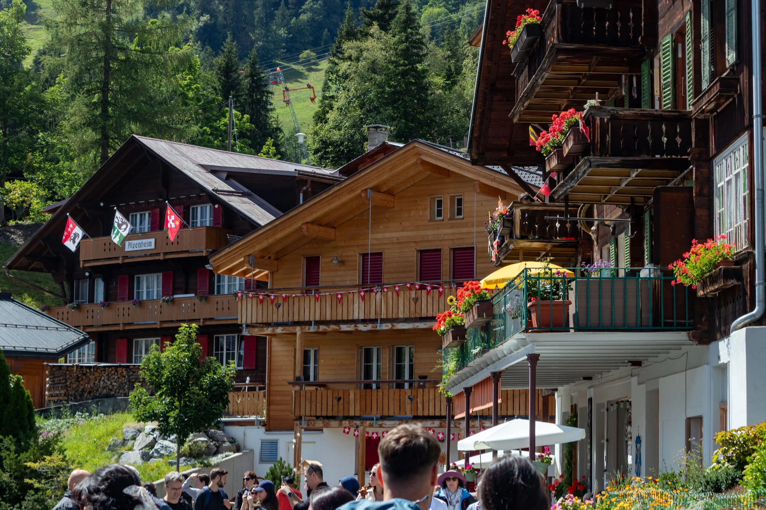 Switzerland — photograph by Arjun Sarkar