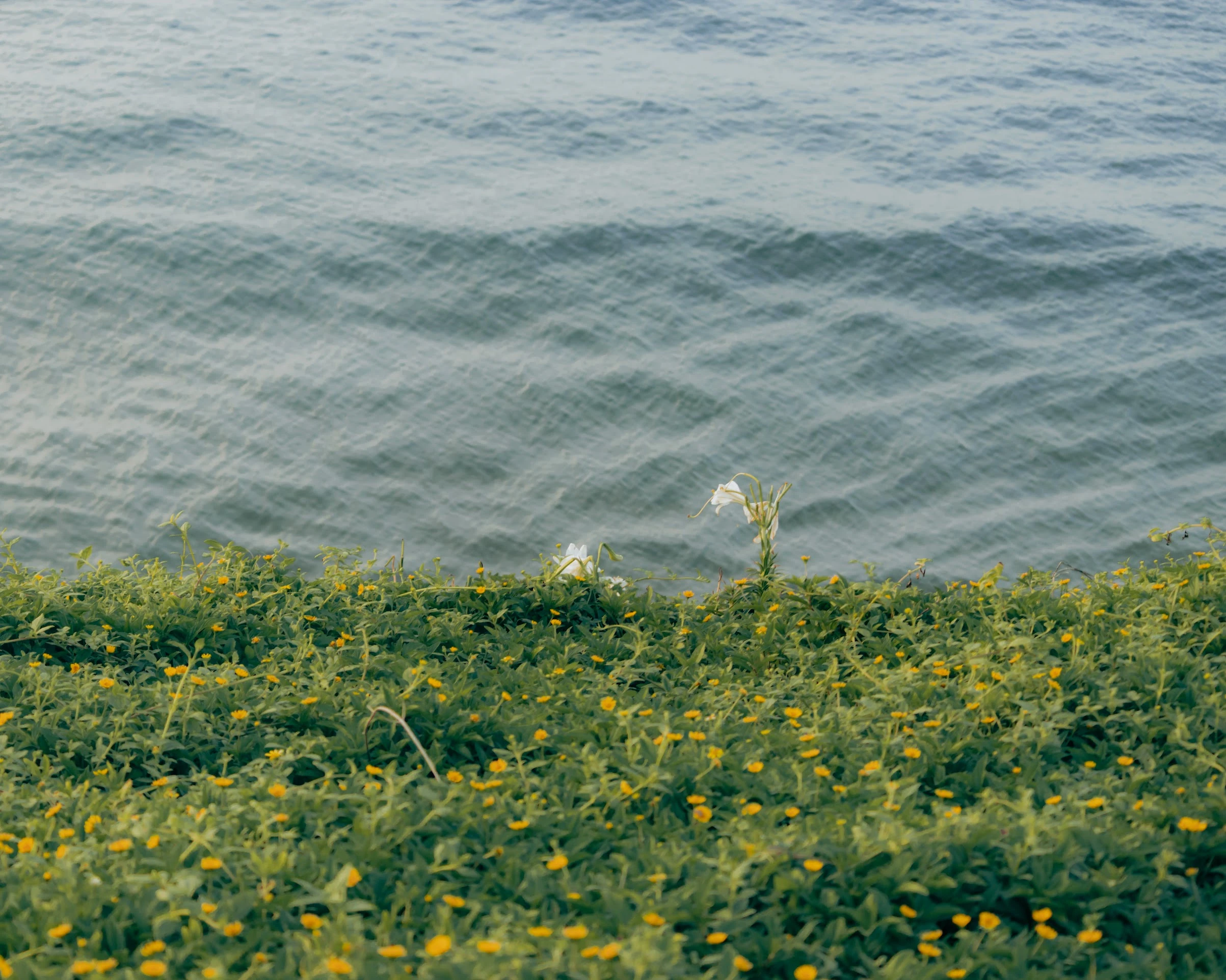 Taiwan — photograph by Arjun Sarkar