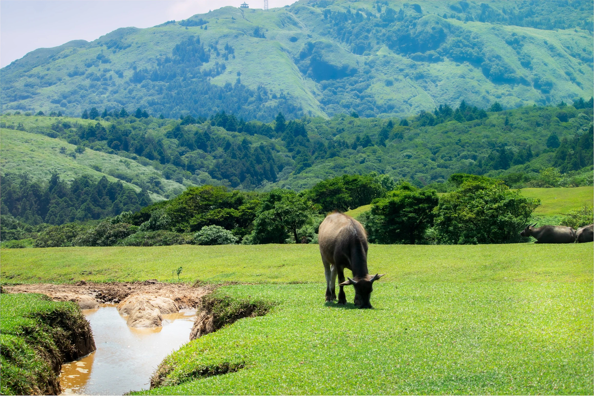 Taiwan — photograph by Arjun Sarkar
