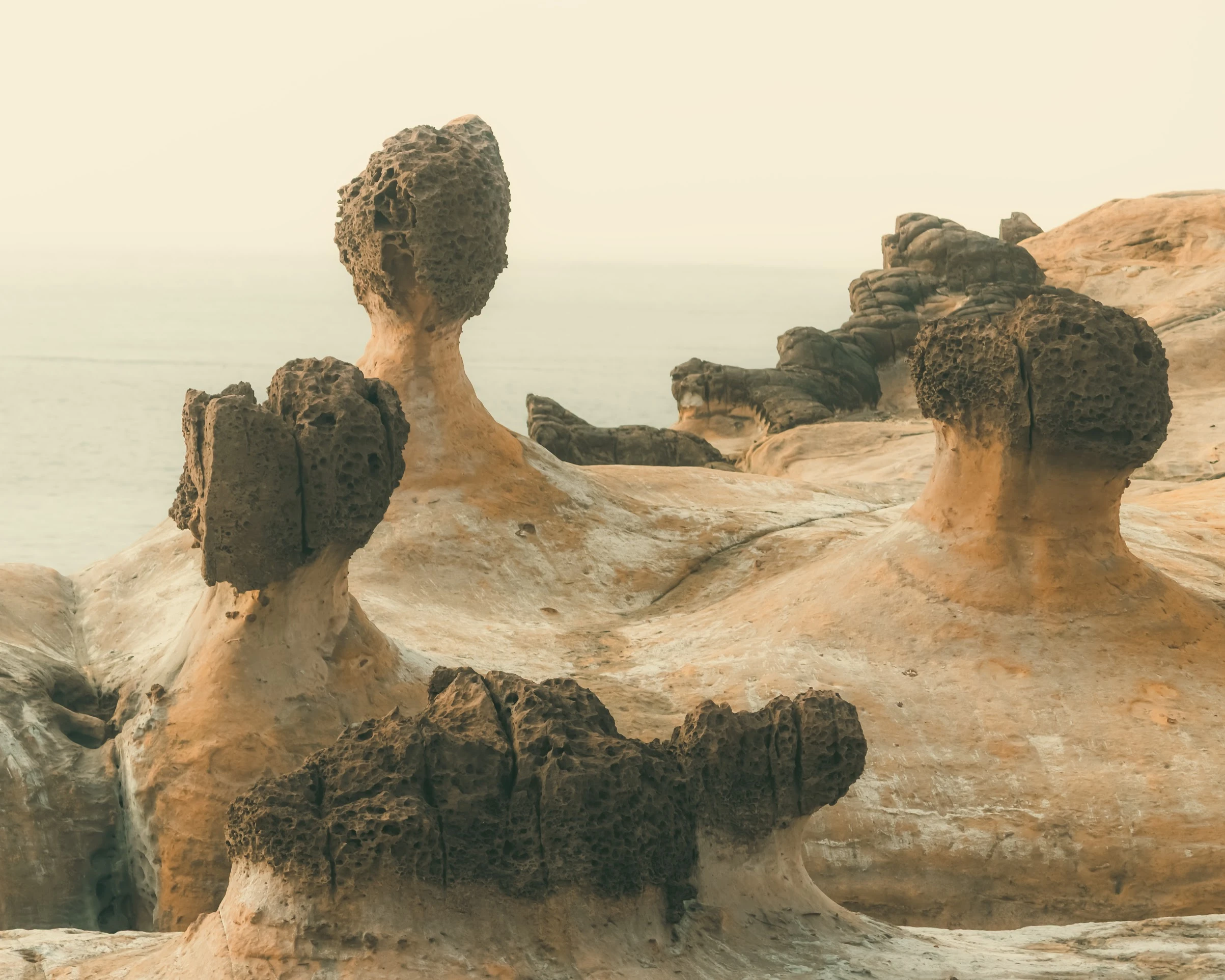 Taiwan — photograph by Arjun Sarkar
