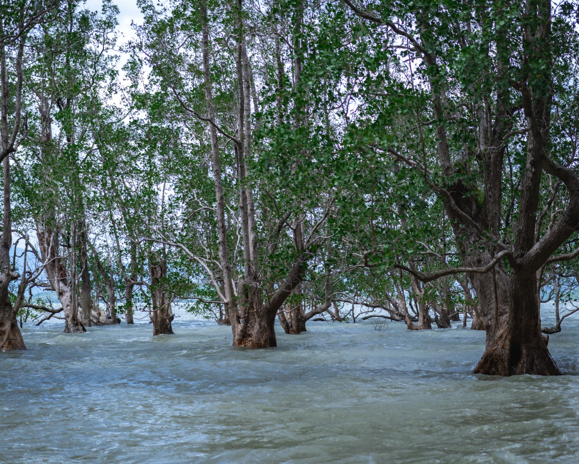 Thailand — photograph by Arjun Sarkar