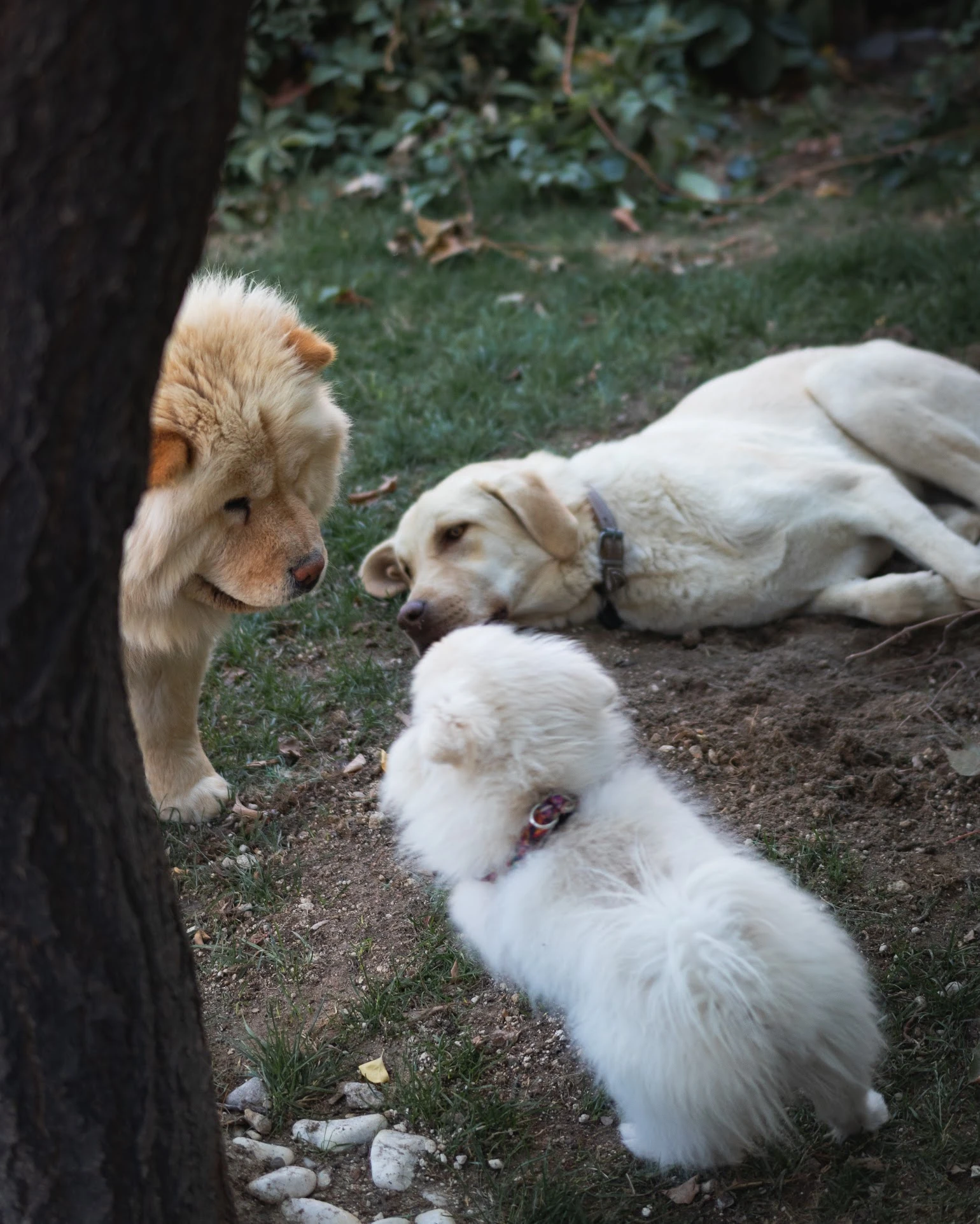Turkey — photograph by Arjun Sarkar
